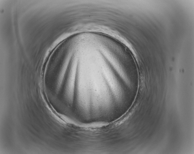 X0000085051525200703191246