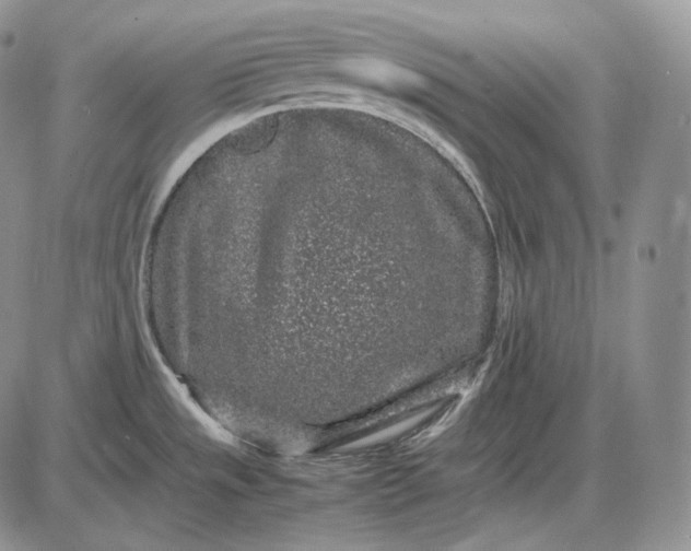 X0000085051533200703191246
