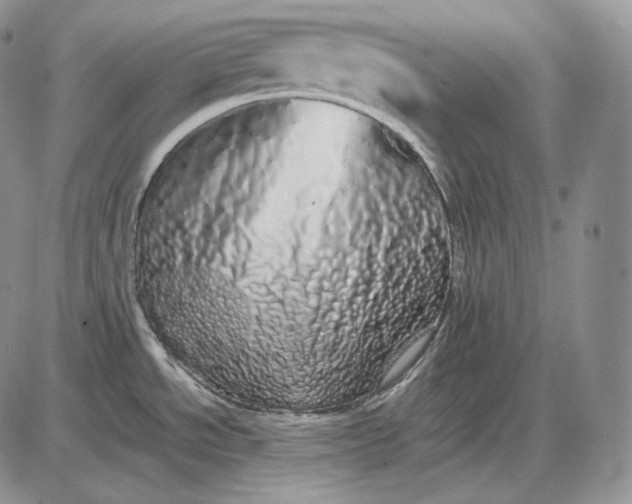 X0000085051534200703191246