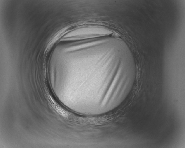 X0000085050005200703261150