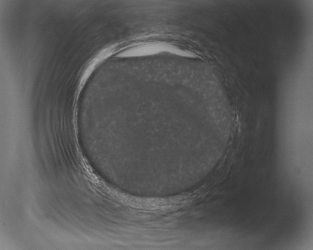 X0000085050006200703261150