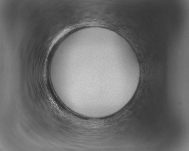 X0000085050008200703261150