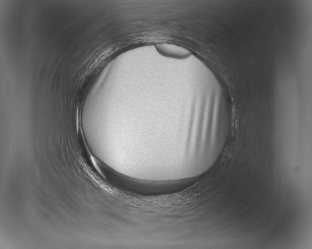 X0000085050013200703261150