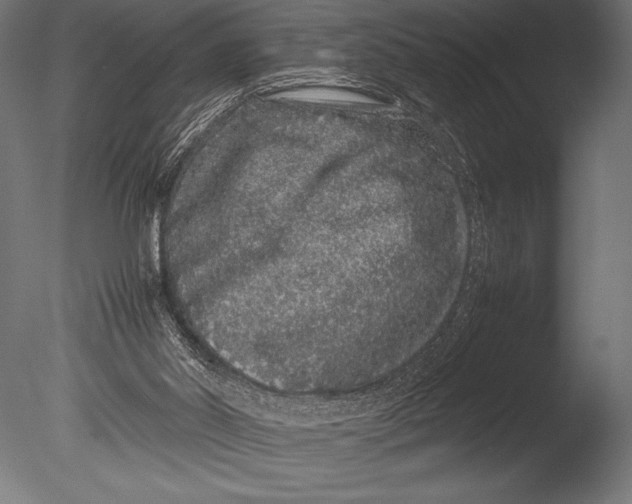 X0000085050014200703261150