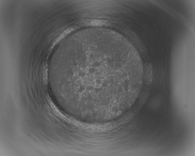 X0000085050016200703261150
