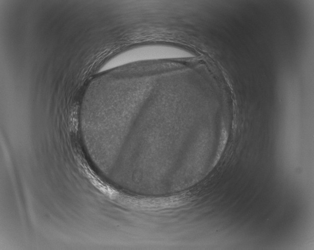 X0000085050017200703261150