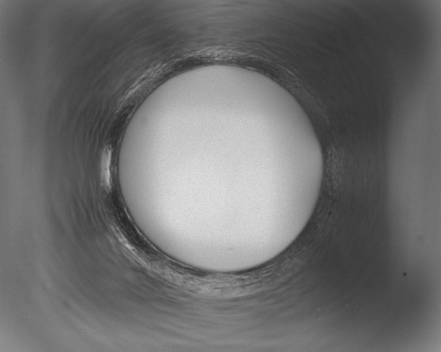 X0000085050024200703261150