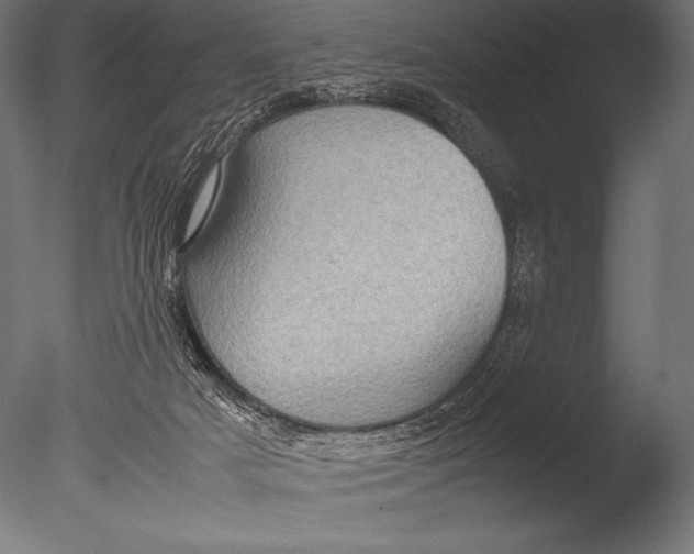 X0000085050025200703261150