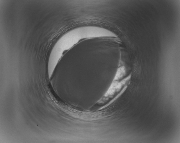 X0000085050027200703261150