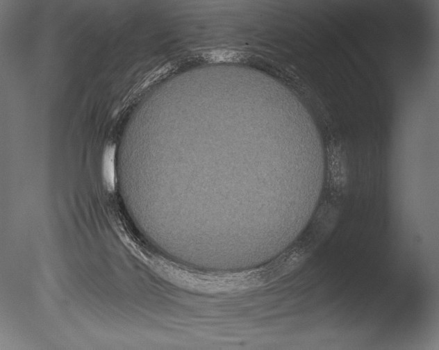 X0000085050028200703261150