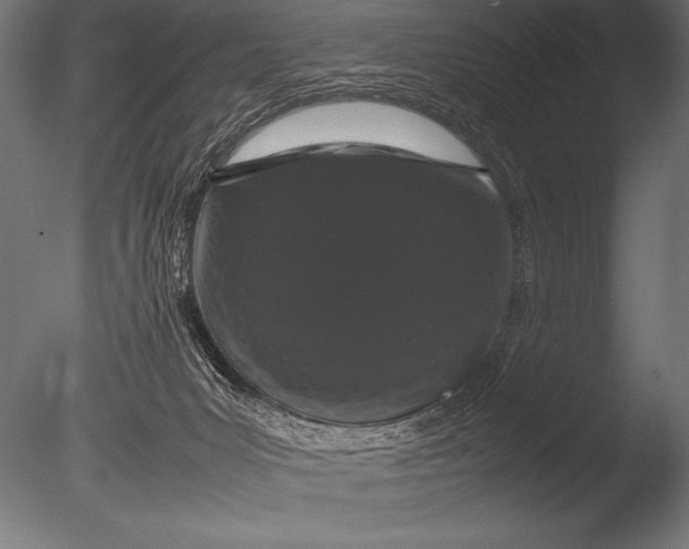 X0000085050031200703261150