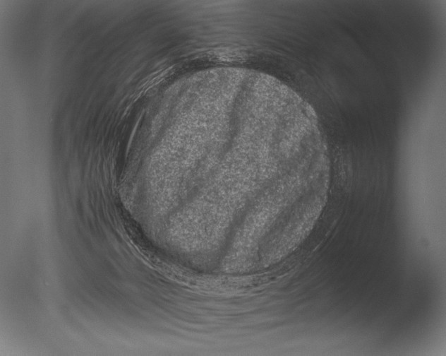 X0000085050032200703261150