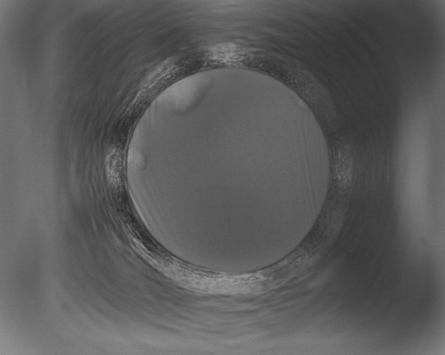 X0000085050036200703261150