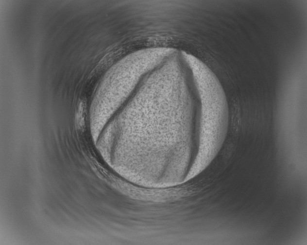 X0000085050038200703261149
