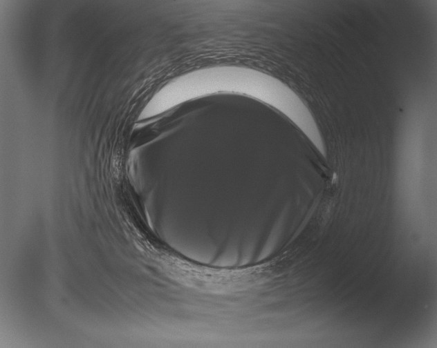 X0000085050039200703261149