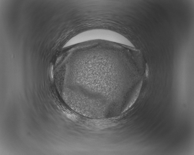 X0000085050041200703261149