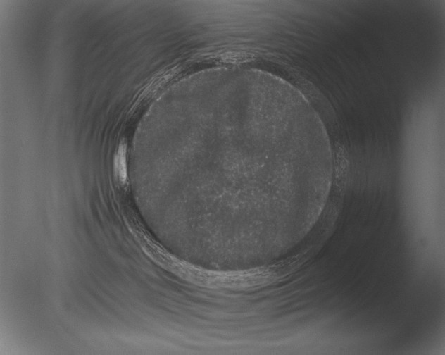 X0000085050046200703261149