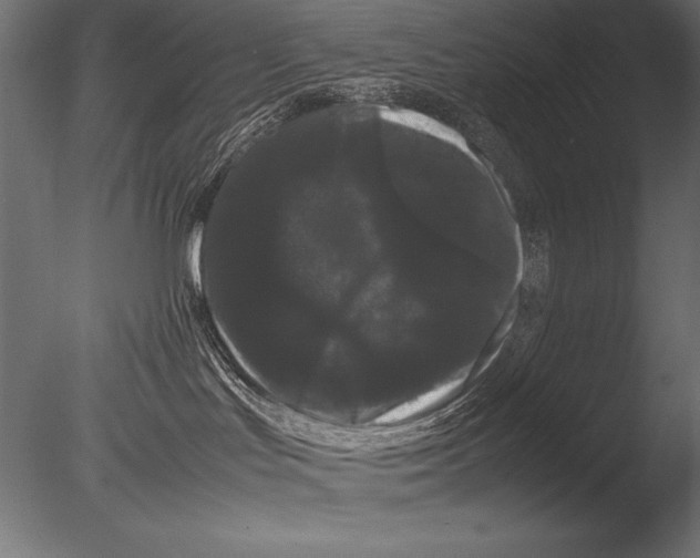 X0000085050047200703261149