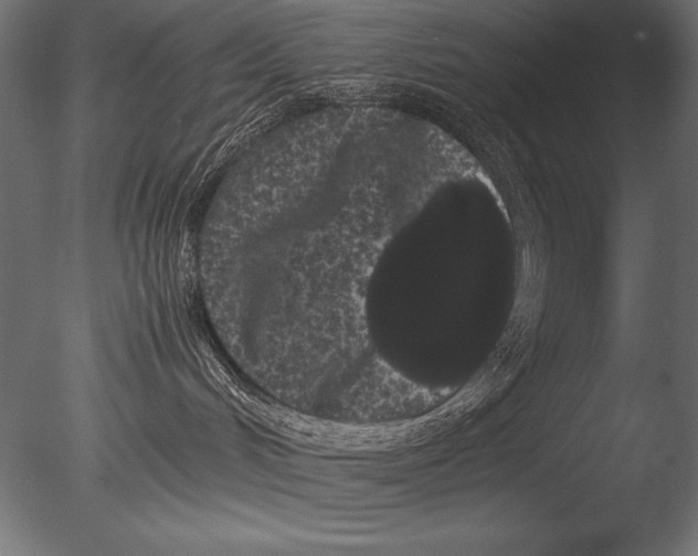 X0000085050048200703261149