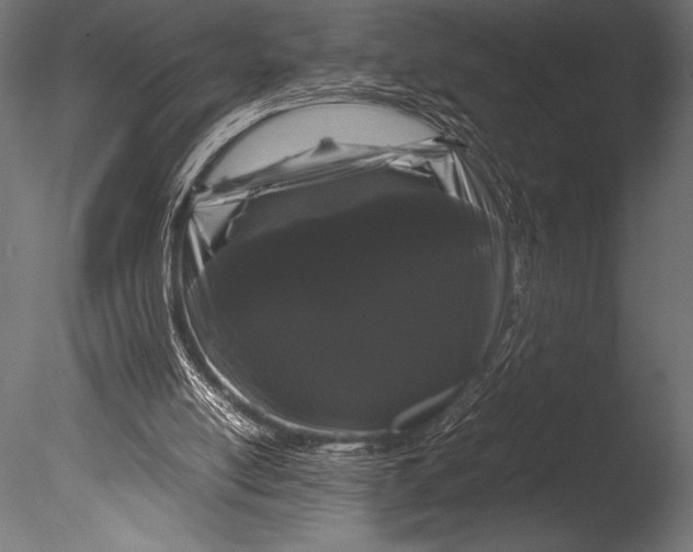 X0000085050054200703261149