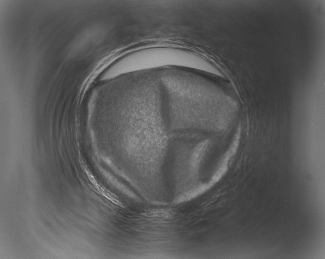 X0000085050055200703261149