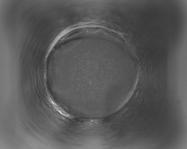 X0000085050056200703261149