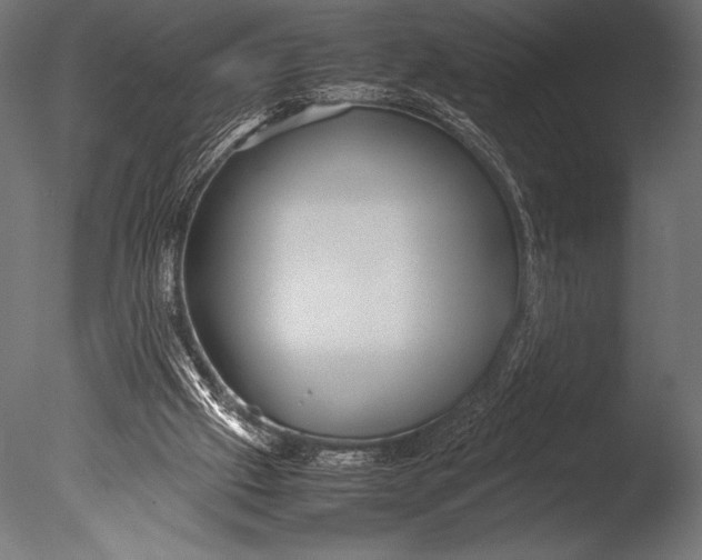 X0000085050057200703261149