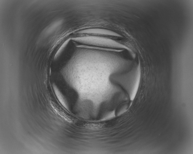 X0000085050059200703261149