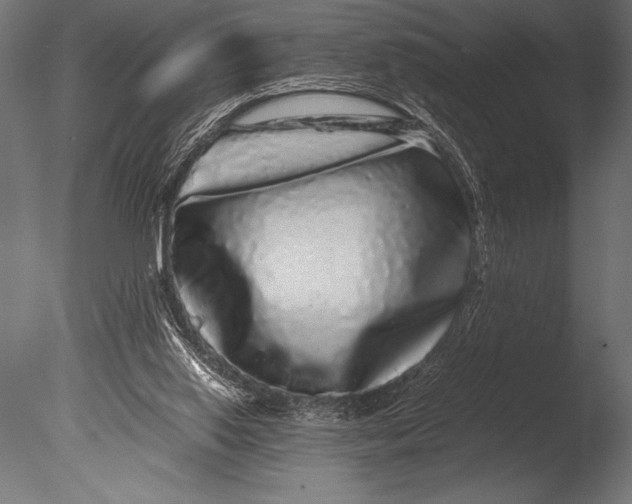 X0000085050062200703261149