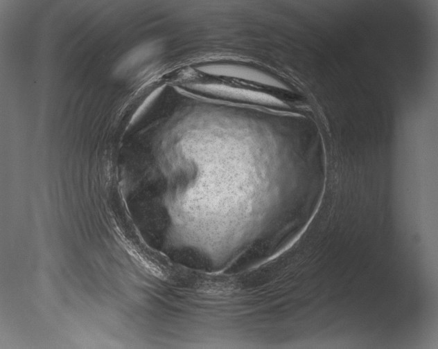 X0000085050063200703261149