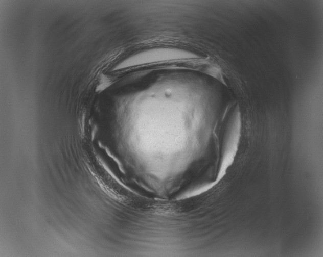 X0000085050070200703261149