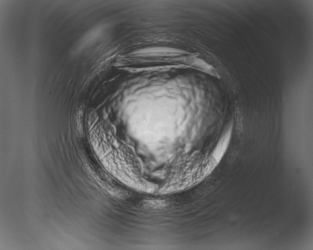 X0000085050071200703261149