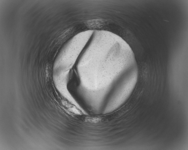 X0000085050081200703261149