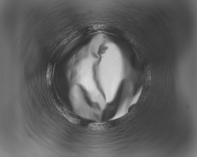 X0000085050082200703261149