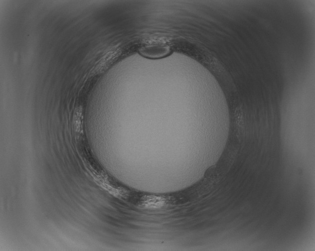 X0000085050083200703261149