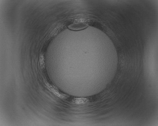 X0000085050087200703261149