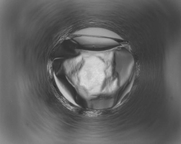 X0000085050094200703261149