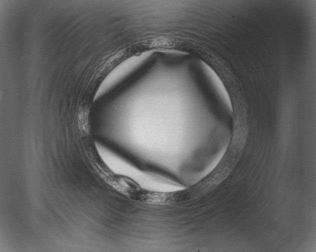 X0000085050096200703261149