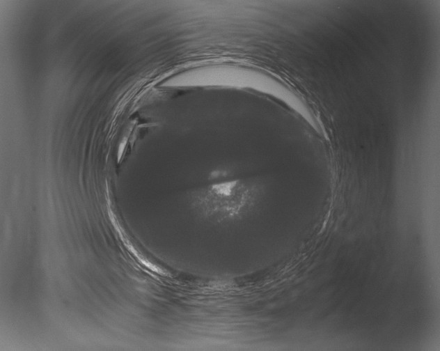 X0000085050097200703261148
