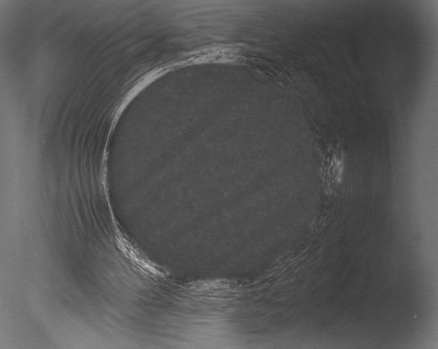 X0000085050100200703261148