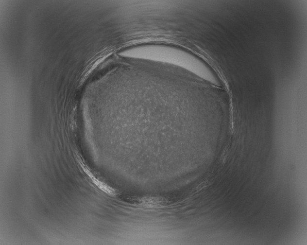 X0000085050105200703261148