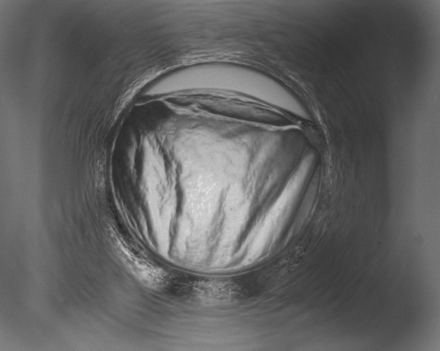 X0000085050107200703261148