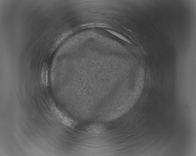 X0000085050110200703261148