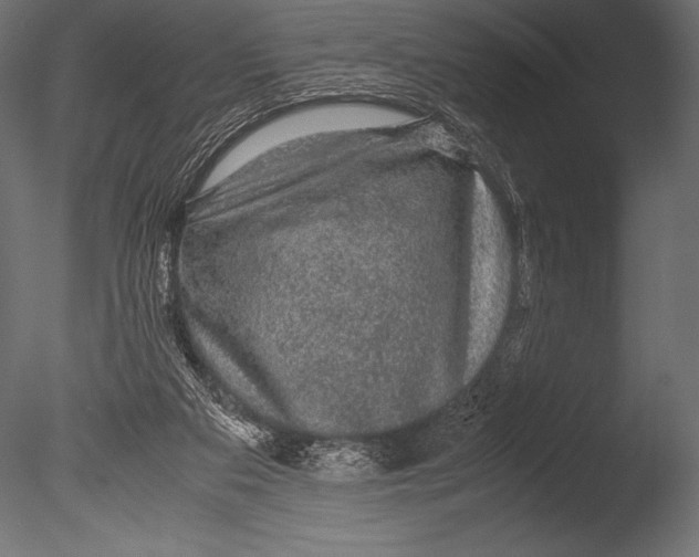 X0000085050113200703261148