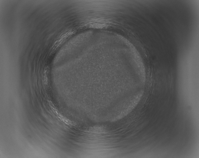 X0000085050114200703261148
