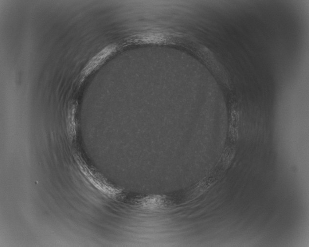 X0000085050116200703261148