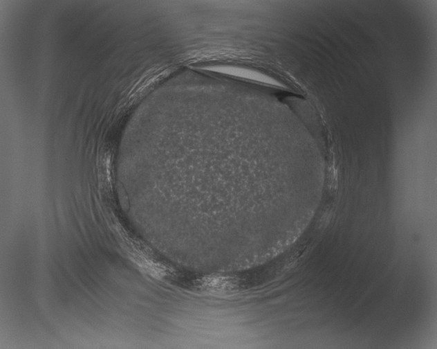X0000085050117200703261148