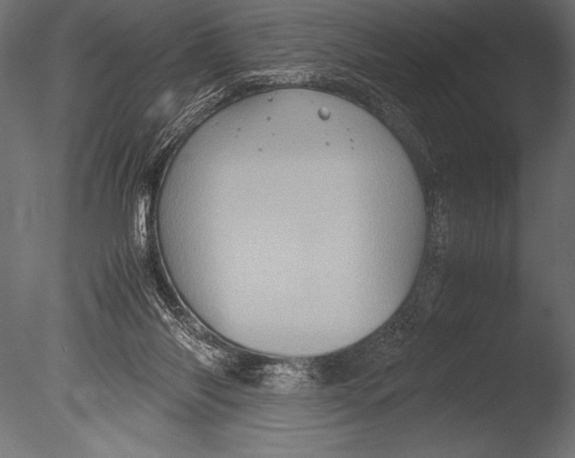 X0000085050118200703261148