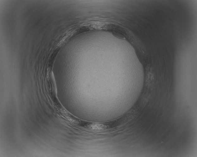 X0000085050121200703261148