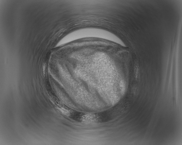 X0000085050123200703261148